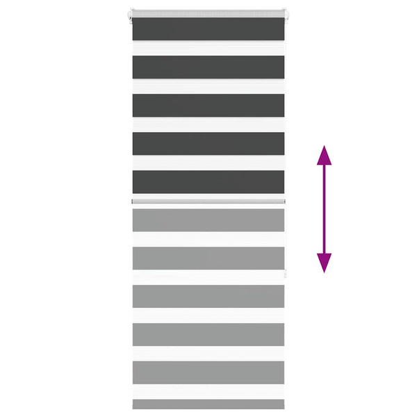 Jostina rullaverho seepra 55x150cm (kankaan leveys 50,9 cm polyesteri)