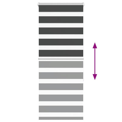 Seepra rullaverho Jostina 60x150cm (kankaan leveys 55,9 cm polyesteri)