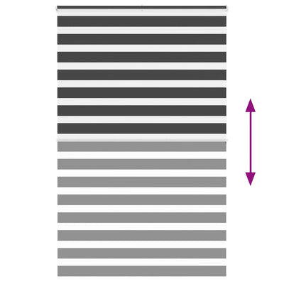 Seepra rullaverho Jostina 150x200cm (kankaan leveys 145,9 cm polyesteri)