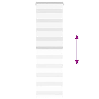 Seepra rullaverho Jostina 40x150cm (kankaan leveys 35,9 cm polyesteri)