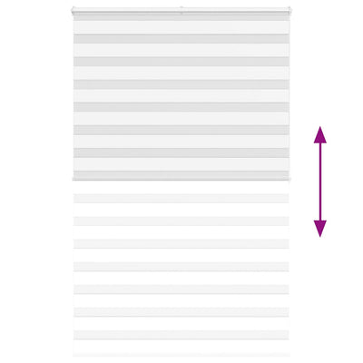 Seepra rullaverho Jostina 150x200cm (kankaan leveys 145,9 cm polyesteri)