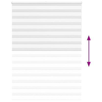 Seepra rullaverho Jostina 160x230cm (kankaan leveys 155,9 cm polyesteri)