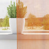 Voile-verhot lenkeillä 2 kpl oranssi 140x225 cm