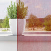Voile-verhot lenkeillä 2 kpl viininpunainen 140x140 cm