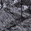 Pörrömatto korkeanukkainen tummanharmaa 240x240 cm polyesteri