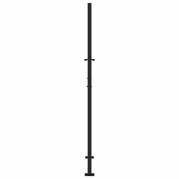 Puutarhan portti musta 100x175 cm teräs liekkikuvio