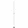 Puutarhan portti musta 100x200 cm teräs liekkikuvio