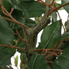 Keinotekoinen Ficus Tree 756 Lehdet 170 cm Vihreä