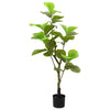 Vihreä keinotekoinen ficus tree Gustaf 30 Lehdet 125cm