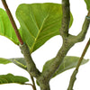 Vihreä keinotekoinen ficus tree Gustaf 30 Lehdet 125cm