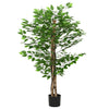 Vihreät keinotekoinen ficus plant Aristeia 120cm (788 lehdet)