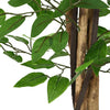 Vihreät keinotekoinen ficus plant Aristeia 120cm (788 lehdet)