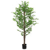 Vihreä keinotekoinen ficus plant Aristeia 200cm (1260 lehdet)