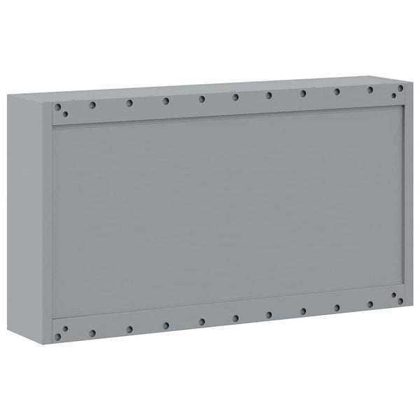 Työkalukaappi Punainen ja harmaa 100 x 20 x 55 cm Teräs