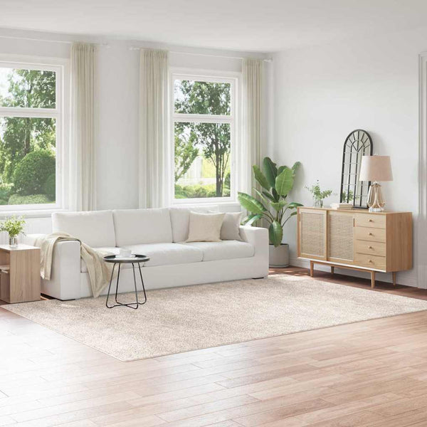 Liukumaton Shaggy Matto Kerma 240 x 340 cm PP