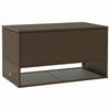 tyynyrasia ulkokäyttöön ruskea 100x55x55,5 cm polyrottinki