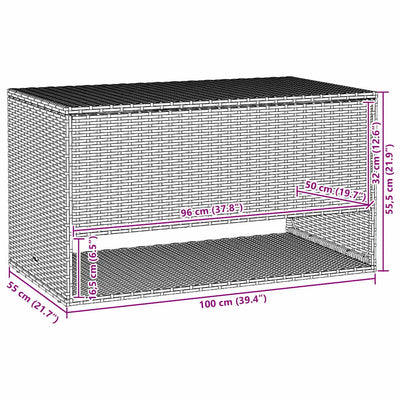 Harmaa ulkotyynylaatikko Benianmin 100x55x55,5cm (polyrottinki)