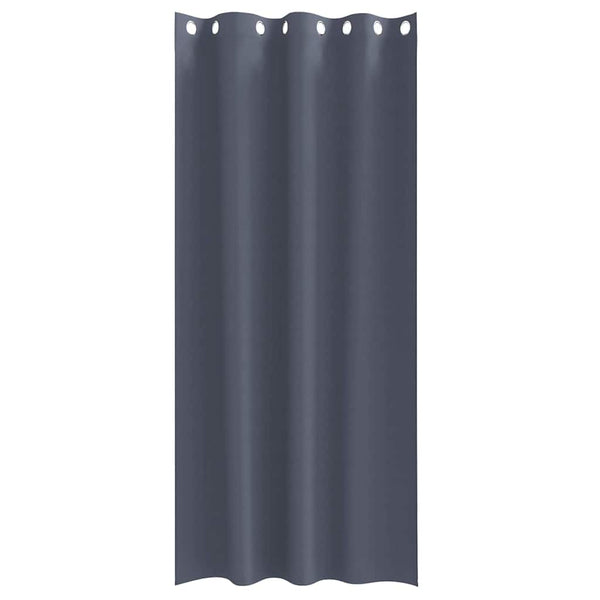 Pimentävä verho renkailla 2 kpl Antrasiitti 260 x 140 cm