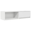 TV Kaappi Valkoinen 100x31x25,5 cm Engineered Wood