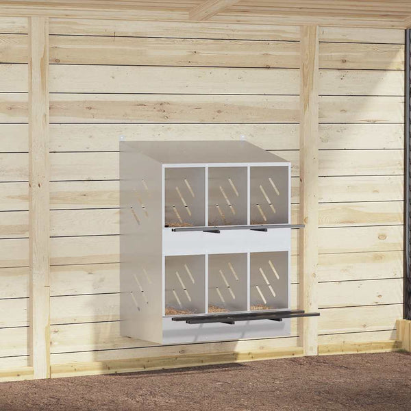 Hopea kananpesälaatikko Esfahani (6 lokerolla galvanoitua)