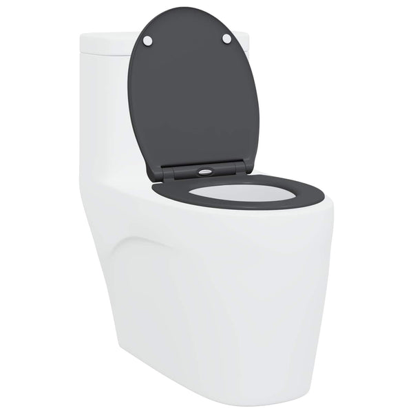 WC-istuin Antrasiitti 45,5 x 37,5 x 3,8 cm Duroplast