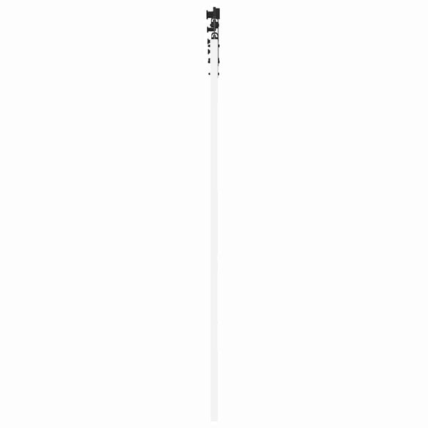Liukuovi 61 x 198,5 cm Täysi mänty ja lasi Valkoinen