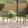 Pronssi puutarhan tuoli Petronis 55x56.5x91cm (2 pcs, alumiini)