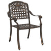 Pronssi puutarhan tuoli Petronis 55x56.5x91cm (2 pcs, alumiini)
