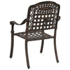 Pronssi puutarhan tuoli Petronis 55x56.5x91cm (2 pcs, alumiini)