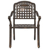 Pronssi puutarhan tuoli Petronis 55x56.5x91cm (2 pcs, alumiini)
