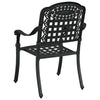 Puutarhan Tuoli 2 kpl Alumiini Musta 55 x 56.5 x 91cm