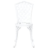 Valkoinen puutarhan tuoli Staniloiu 55x56.5x91cm (2 pcs alumiini)