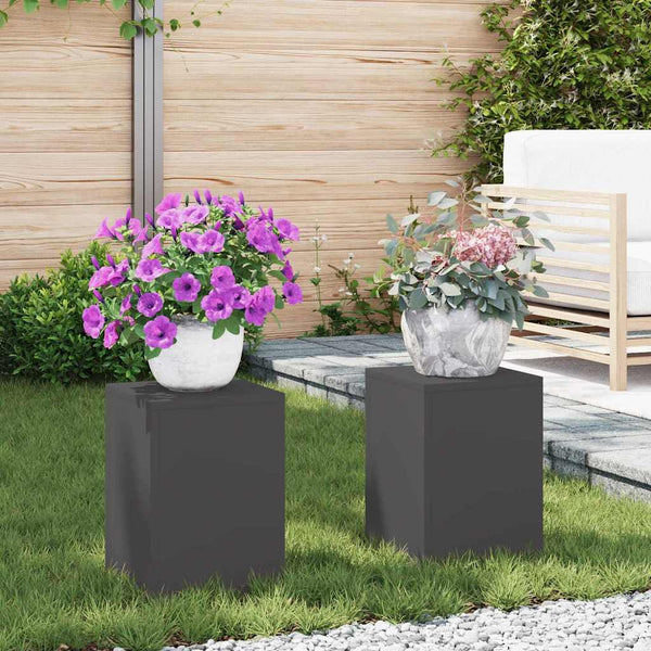 Kasviteline 2 kpl Musta 24 x 24 x 35 cm Kylmävalssattu teräs