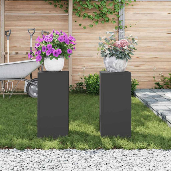 Kasviteline 2 kpl Musta 24 x 24 x 55 cm Kylmävalssattu teräs