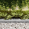 Nurmireunus 10 kpl 100 x 0,05 x 15 cm Galvanoitu teräs Hopea
