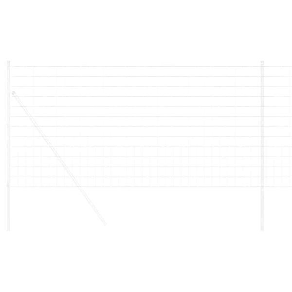 Euroaita 1 x 25 m PVC-pintainen rauta