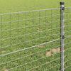 Euroaita 0,4 x 50 m PVC-pintainen rauta