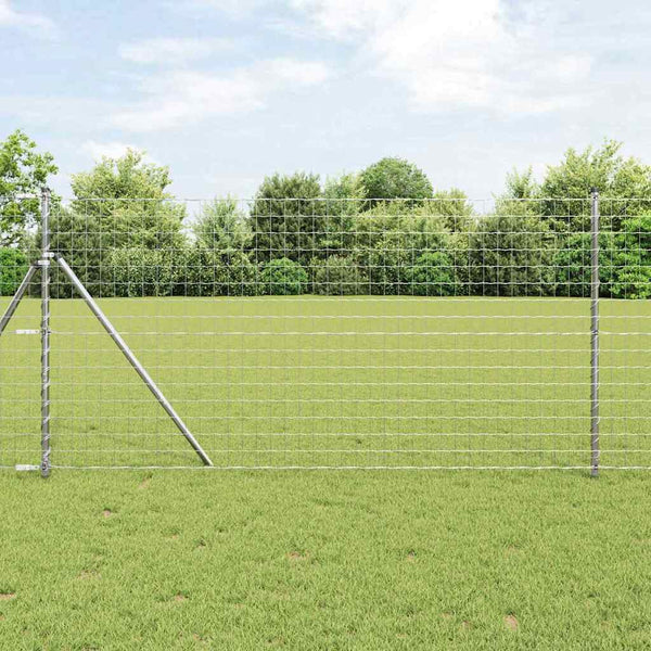 Euroaita 1 x 10 m PVC-pintainen rauta