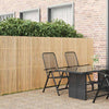 Bambuaita Luonnollinen 400 x 150 cm Bambu