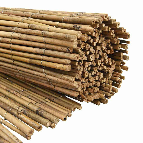 Bambuaita 300 x 150 cm Bambu Luonnollinen