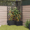 Puutarha ruukku 3 kpl Musta 80 x 80 x 143 cm PP