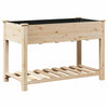 Puutarha ruukku Beige 115 x 59 x 76,5 cm Säteisen kuusipuu