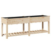 Puutarha ruukku Beige 203 x 53 x 76,5 cm Säteisen kuusipuu
