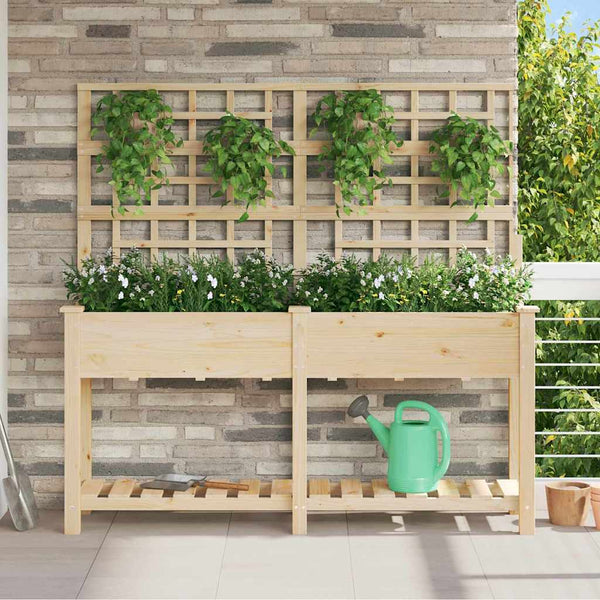 Puutarha ruukku Beige 161 x 46 x 152,5 cm Säteisen kuusipuu