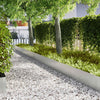 Nurmireunus 30 kpl 100 x 0,05 x 30 cm Galvanoitu teräs Hopea