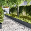 Nurmireunus 50 kpl 100 x 0,05 x 30 cm Kylmävalssattu teräs