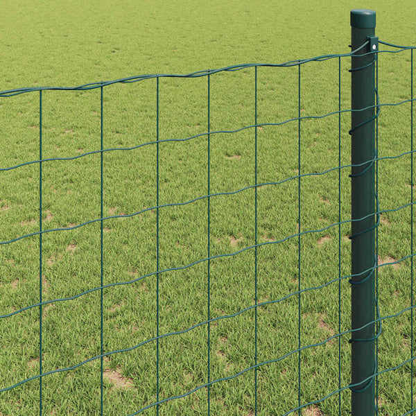 Euroaita 0,4 x 10 m PVC-pintainen rauta Vihreä