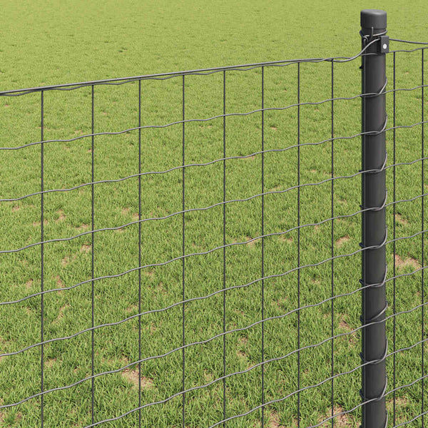 Euroaita 1,6 x 10 m PVC-pintainen rauta Harmaa