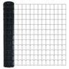 Euroaita 1 x 10 m PVC-pintainen rauta Harmaa