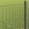 Euroaita 1 x 25 m PVC-pintainen rauta Harmaa